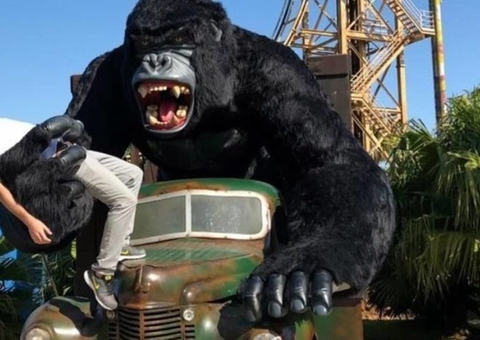 Menino de 6 anos que caiu de atração no Beto Carrero recebe alta