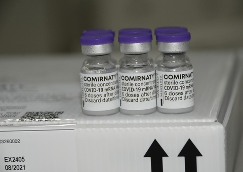 Vacina da Pfizer começa a ser testada em grávidas no Brasil