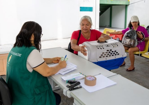 Agendamento para castração gratuita de cães e gatos começa na última sexta-feira de novembro