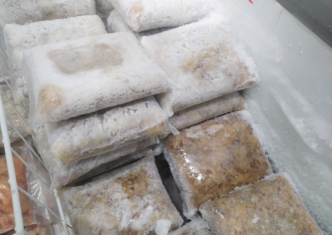 Fiscalização apreende 150 quilos de pescado irregular em Manaus