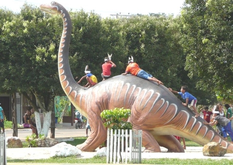 Empresas têm empate em licitação de R$ 1 milhão em Novo Airão