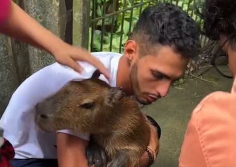 Após protesto e invasão no Ibama, capivara Filó é entregue a tiktoker
