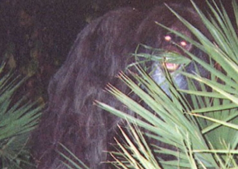 5 imagens estranhas que a ciência não consegue explicar