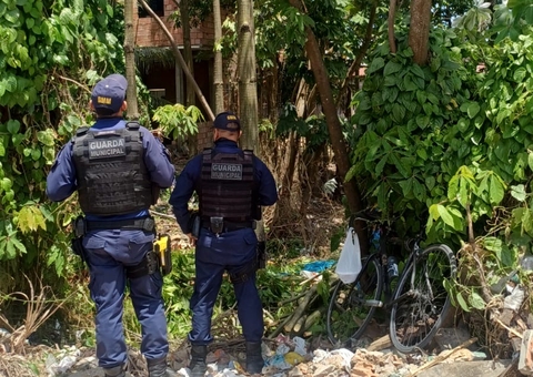 Dupla é detida após derrubar 15 árvores no Educandos