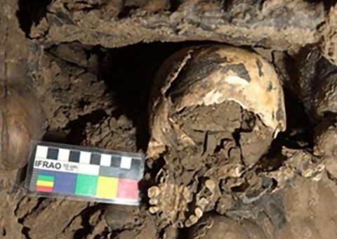 Mistério da cabeça decapitada há 5.600 anos começa a ser desvendado