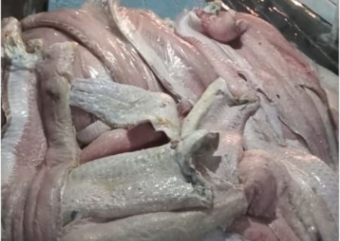 Carga de quase 1 tonelada de pirarucu é apreendida em Manaus