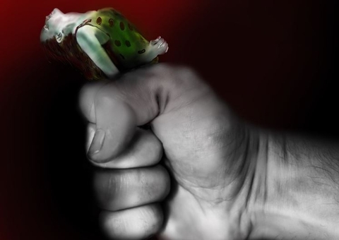 Senado aprova fim do uso da tese de defesa da honra para feminicídios