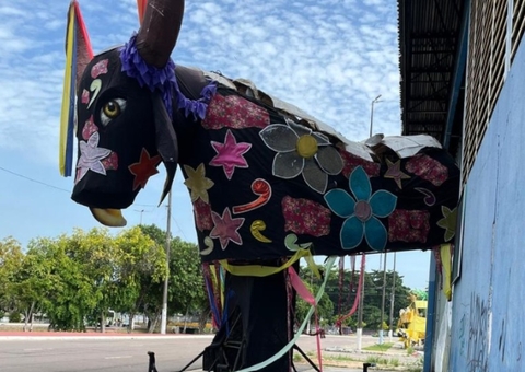 MPAM aciona ligas de samba por lixo e obstrução em Manaus