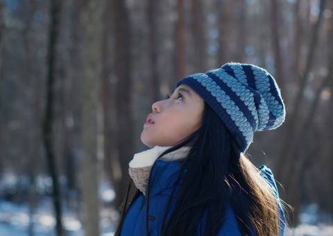 'O Mal Não Existe' estreia no Cine Casarão; veja programação