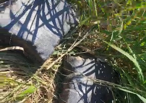 Confronto entre piratas leva PM a apreender R$ 8 milhões em drogas no Rio Solimões