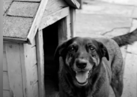 Reviravolta: Adolescente deixa de ser suspeito e vira testemunha na morte d