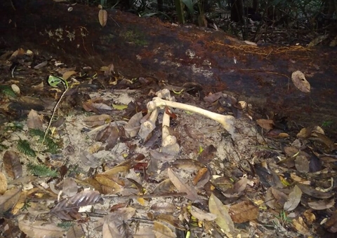 Ossada humana é encontrada em ramal no Amazonas 