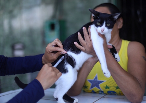 Campanha de vacinação antirrábica vai passar por 11 bairros de Manaus nesta semana; confira