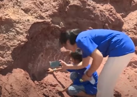 Ovo de dinossauros de 66 milhões de anos é encontrado por criança na China