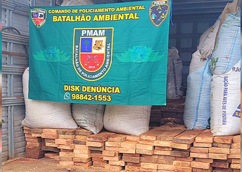 Homem é detido com madeira ilegal avaliada em R$ 84 mil na AM-070