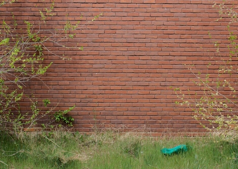 Homem escala muro de motel e foge para não pagar conta e garota de programa