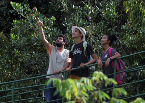 Parque Sumaúma terá tirolesa, rapel e atividades gratuitas neste domingo em Manaus 
