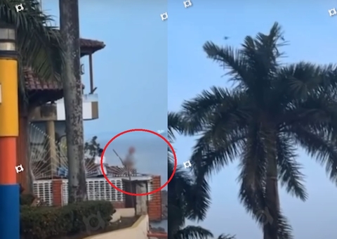 Empresário que soltou fogos de artifício em pássaros é multado em R$ 100 mil no Amazonas