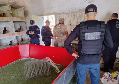 Polícia prende duas pessoas por maus-tratos e resgata animais em Manaus