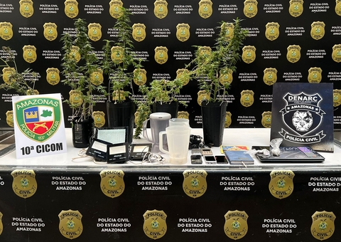 Homem que mantinha plantação de maconha em casa é preso em Manaus