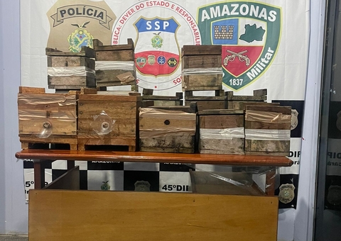 Caixas de abelhas avaliadas em mais de R$ 7 mil são furtadas no Amazonas