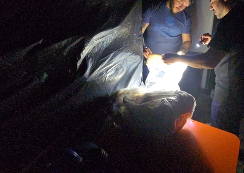 Polícia apreende 100 kg de carne de jacaré em embarcação no porto do Educandos