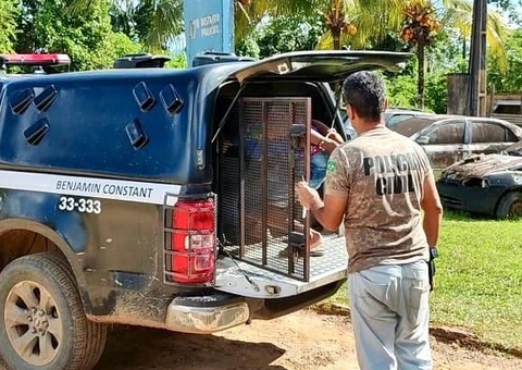 Homem é preso por tentar matar idoso durante tentativa de furto no Amazonas