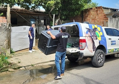 Mulher em Manaus é presa por maus-tratos contra cães em risco de vida