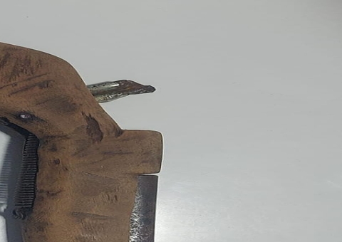 'Santinho' é preso por deixar desafeto sem andar após desferir ripadas no Amazonas