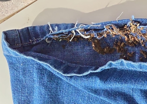 Irmãos escondem droga em costura de bermudas e acabam presos em delegacia no Amazonas