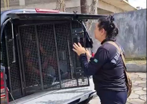 Integrante de grupo que promovia rinhas de galo em estados do Brasil é preso em Manaus