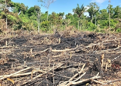 Poluição do ar e mais; Dema alerta sobre riscos da prática das queimadas no Amazonas