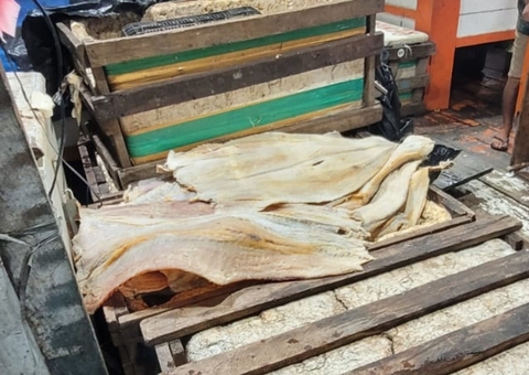 Dupla foge da PM e abandona cerca de 300 kg de pescado ilegal na Feira da Panair