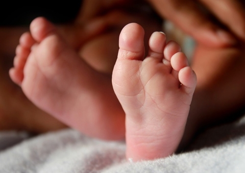 Criança fica em estado grave ao contrair raiva depois de ser mordida por animal silvestre