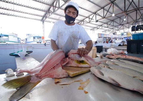 Venda de peixes despenca após surto da doença da ‘urina preta’ no Amazonas