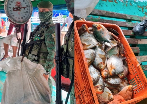 Mais de 1 tonelada de pescado no período de defeso é apreendida no porto de Manaus