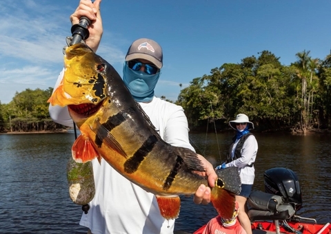 Projeto que institui Feira Internacional da Pesca Esportiva de Manaus é aprovado