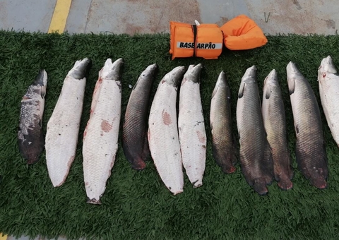 Mais de 50 quilos de pescado ilegal são apreendidos em canoa no Amazonas