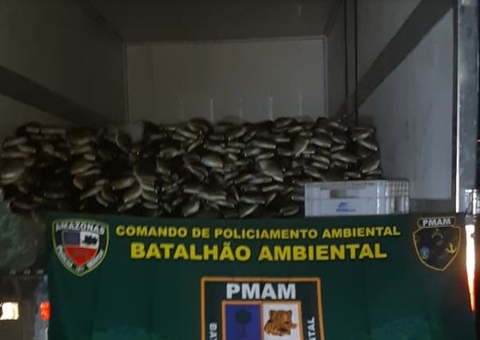 6 toneladas de peixe em período de defeso são apreendidas em caminhão de Manaus