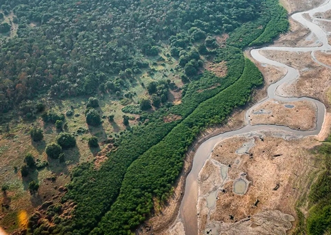 Pesquisa com bactérias na Amazônia pode desenvolver novos medicamentos