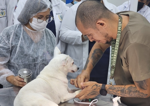 Hospital Veterinário Nilton Lins oferece pacote especial de exames para pets
