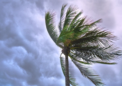 Confira se vai chover na sua capital durante o Réveillon