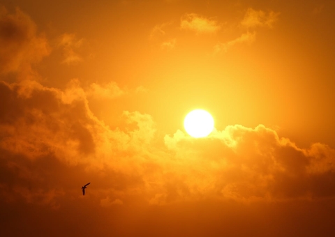 Queimadas na Amazônia: Especialista dá dicas para não passar mal em dias de calor extremo
