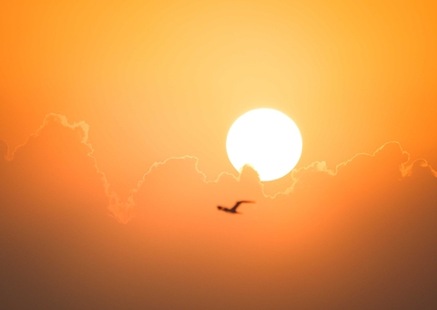 Manaus atingiu temperatura mais alta do ano nesta quarta; veja previsões