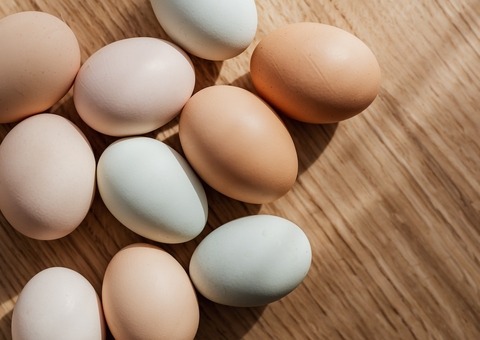 Comer 2 ovos por dia ajuda a prevenir resfriados; conheça mais benefícios