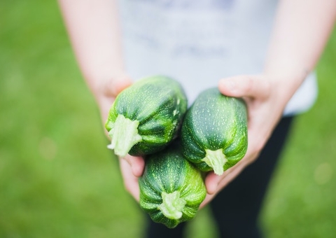 Abobrinha previne envelhecimento precoce; conheça mais benefícios