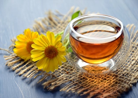 Conheça ervas que ajudam a combater infecção urinária