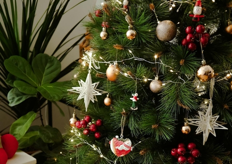 Tem dia certo para montar a árvore de natal? entenda simbologia