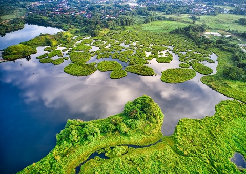 Dia Mundial do Meio Ambiente: Brasileiros se preocupam com falta de água limpa, diz estudo
