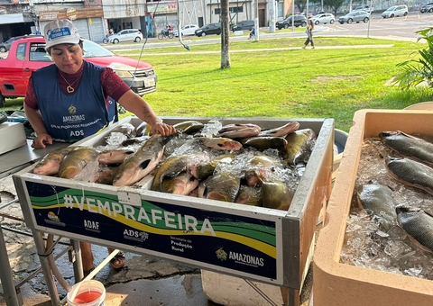 Saiba onde comprar peixe barato nos Feirões do Pescado em Manaus 